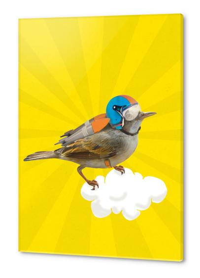 Rocket Bird Acrylic prints by tzigone