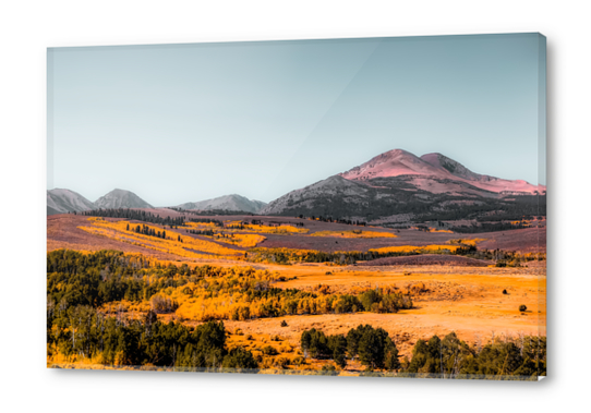 autumn landscape with mountain view and blue sky in California USA Acrylic prints by Timmy333