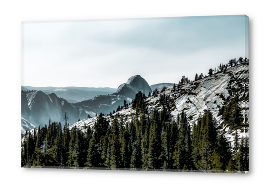 Mountains with pine tree at Yosemite national park, California, USA Acrylic prints by Timmy333