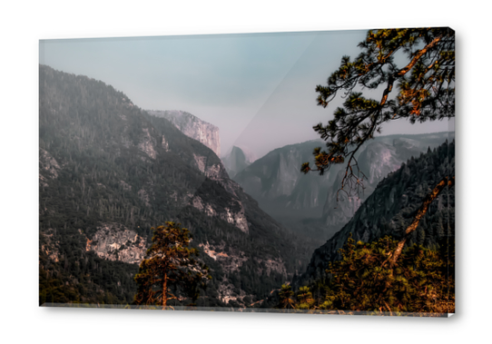 mountain in the forest at Yosemite national park California USA Acrylic prints by Timmy333