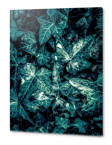 closeup green leaves texture background Acrylic prints by Timmy333