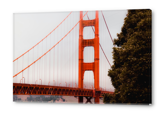 Closeup Golden Gate Bridge San francisco USA Acrylic prints by Timmy333