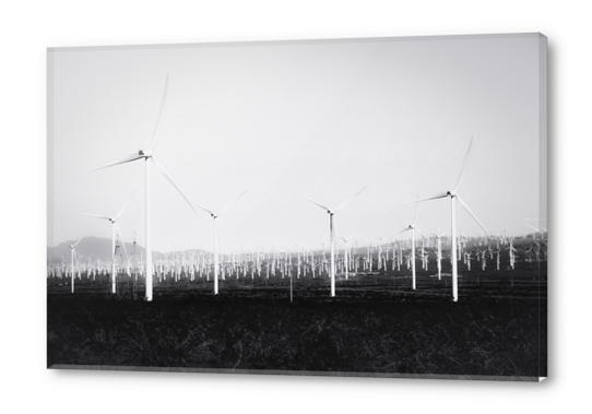 wind turbine in California desert in black and white Acrylic prints by Timmy333