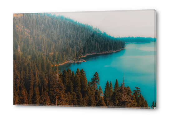 Pine tree and lake view at Emerald Bay Lake Tahoe California USA Acrylic prints by Timmy333