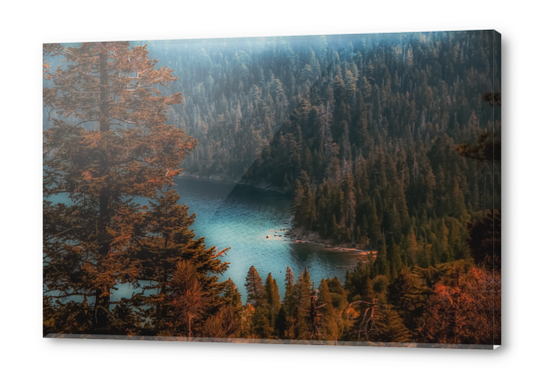 pine tree at Emerald Bay Lake Tahoe California USA Acrylic prints by Timmy333