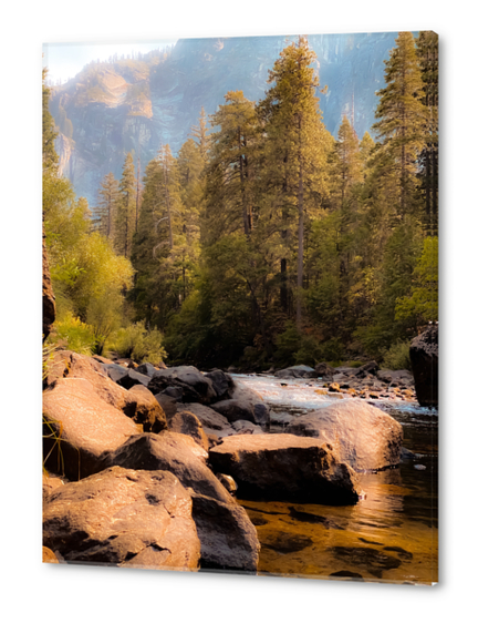 river and pine tree at Yosemite national park USA Acrylic prints by Timmy333