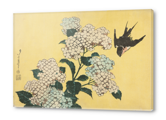 Hydrangea and Swallow Acrylic prints by Katsushika Hokusai