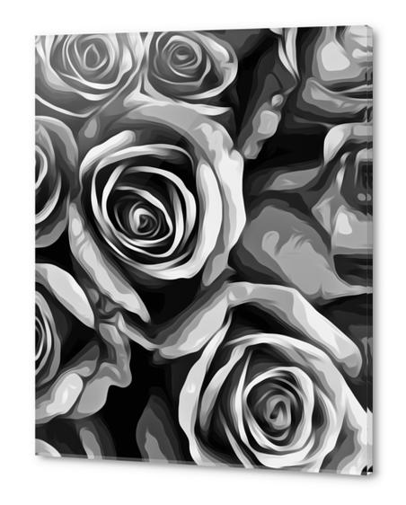 roses texture in black and white Acrylic prints by Timmy333