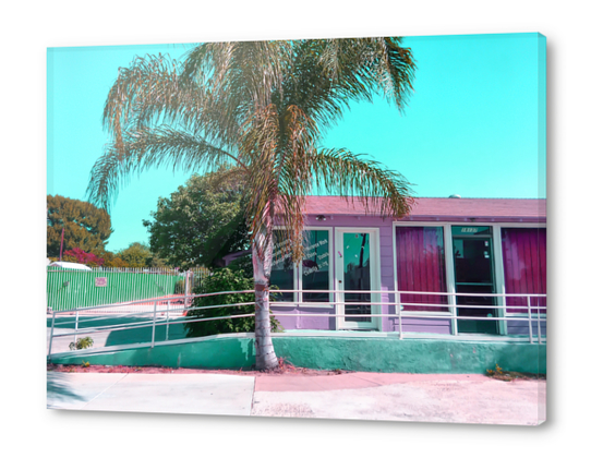 pink building in the city with palm tree and blue sky Acrylic prints by Timmy333