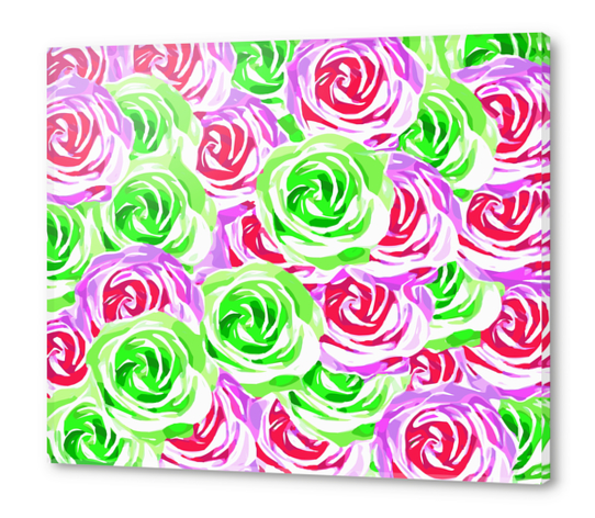 closeup rose pattern texture abstract background in pink red green Acrylic prints by Timmy333
