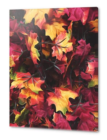 maple leaves texture background in autumn season Acrylic prints by Timmy333