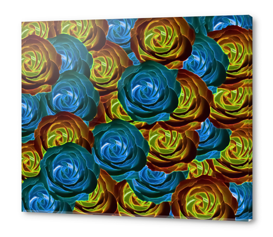 closeup rose pattern texture abstract in blue red and yellow Acrylic prints by Timmy333