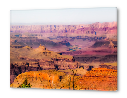 desert view at Grand Canyon national park, USA Acrylic prints by Timmy333