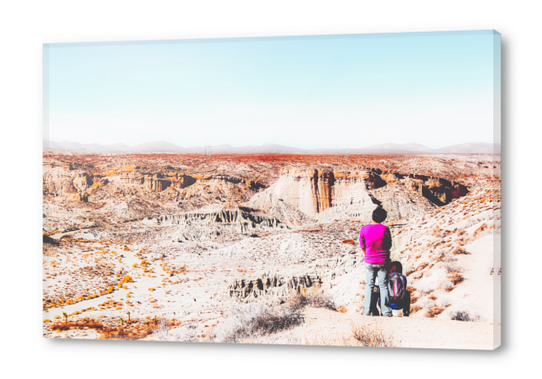 Desert with blue sky in summer in California, USA Acrylic prints by Timmy333