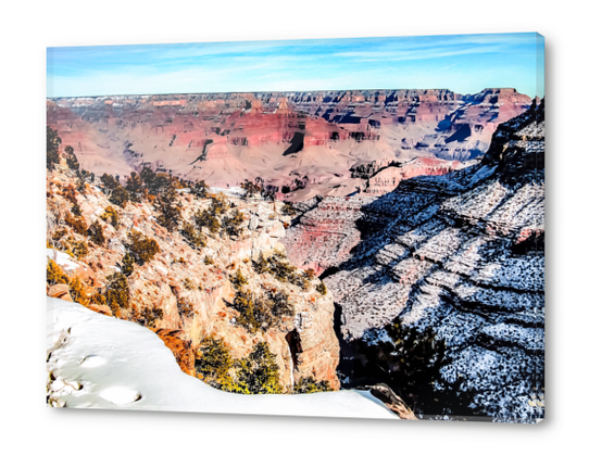 desert at Grand Canyon national park, USA in winter with snow and blue sky Acrylic prints by Timmy333