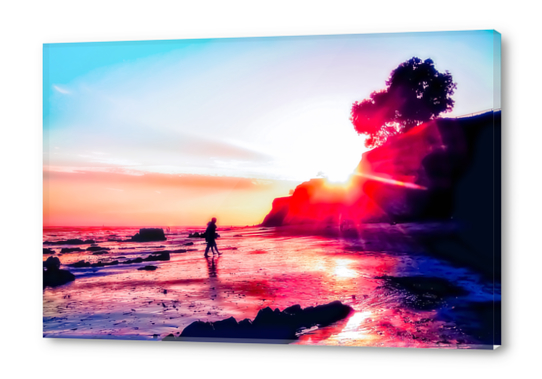 California summer sunset at the beach with blue sky Acrylic prints by Timmy333