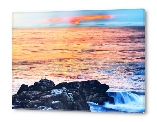 ocean sunset with sunset sky and horizon view in summer Acrylic prints by Timmy333