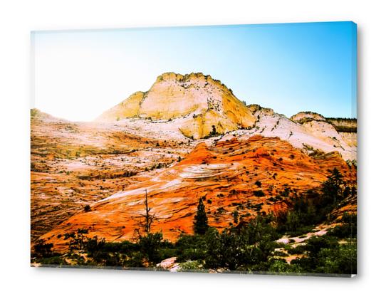 mountain at Zion national park, USA Acrylic prints by Timmy333