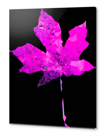 pink geometric polygon maple leaf abstract pattern with black background Acrylic prints by Timmy333