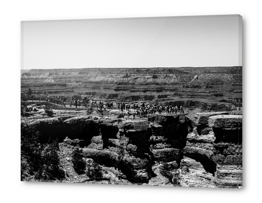 at Grand Canyon national park, USA in black and white Acrylic prints by Timmy333