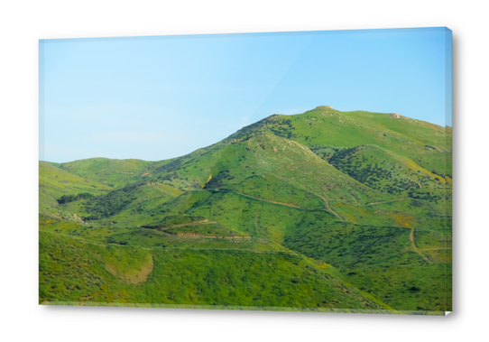 green field and green mountain with blue sky Acrylic prints by Timmy333