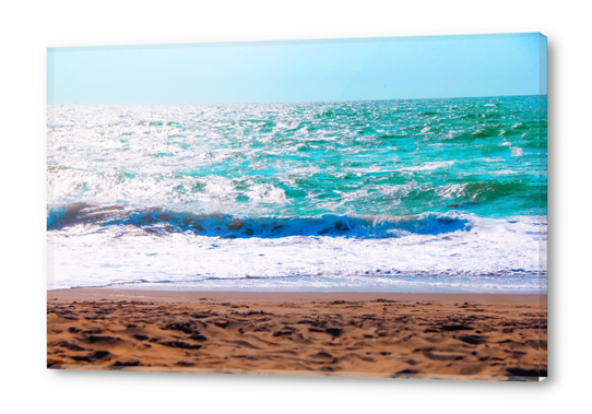 sandy beach with blue water and blue sky in summer Acrylic prints by Timmy333