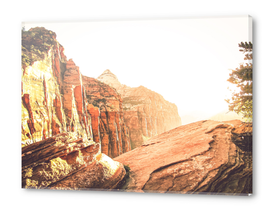 rocky mountain with strong sunlight at Zion national park, USA Acrylic prints by Timmy333