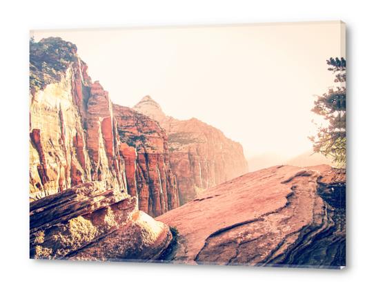 At Zion national park, USA in summer Acrylic prints by Timmy333