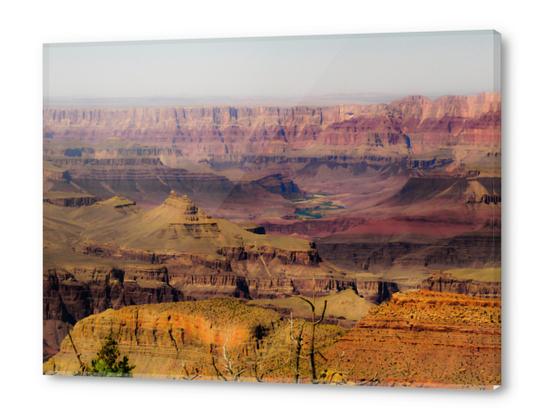 texture of rock and stone at Grand Canyon national park, USA Acrylic prints by Timmy333