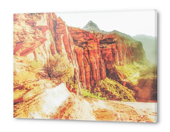 mountain view at Zion national park, USA with summer sunlight Acrylic prints by Timmy333