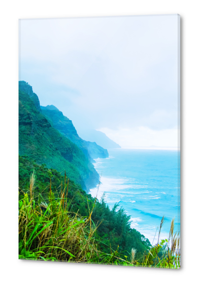 green mountain and ocean view at Kauai, Hawaii, USA Acrylic prints by Timmy333