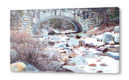 river covered with snow at Sequoia national park, USA Acrylic prints by Timmy333