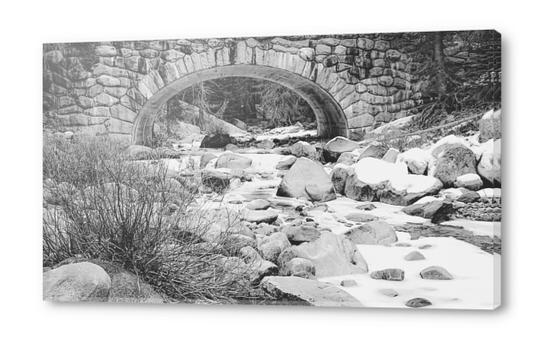 river covered with snow at Sequoia national park, USA in black and white Acrylic prints by Timmy333