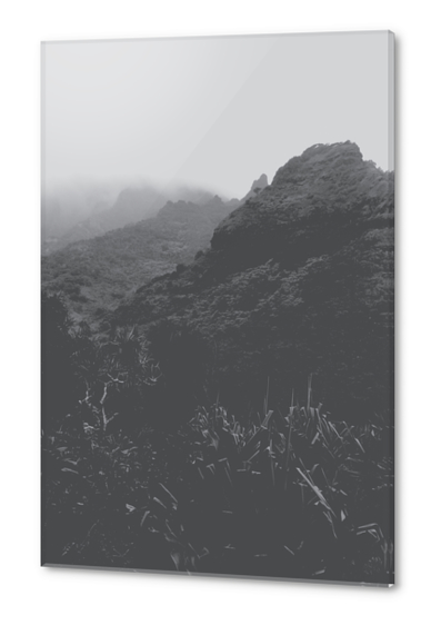 mountain in the forest with foggy sky in black and white Acrylic prints by Timmy333