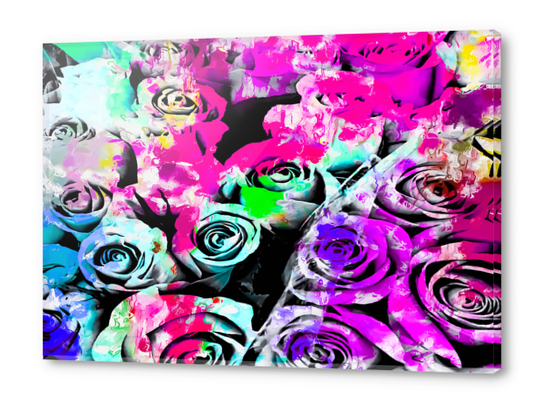 rose texture with pink purple blue green painting abstract background Acrylic prints by Timmy333