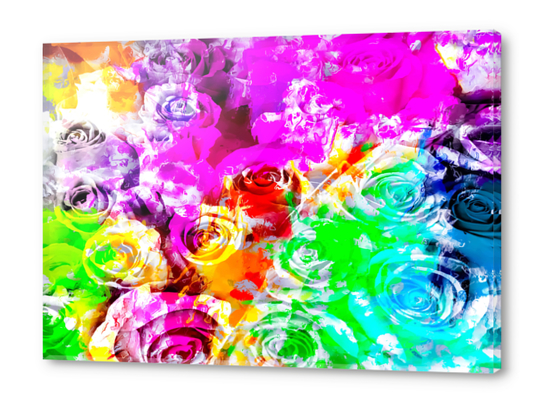 closeup rose texture pattern abstract background in pink blue yellow green red Acrylic prints by Timmy333