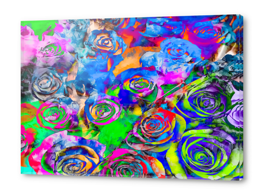rose texture pattern abstract with splash painting in blue green pink red orange yellow Acrylic prints by Timmy333