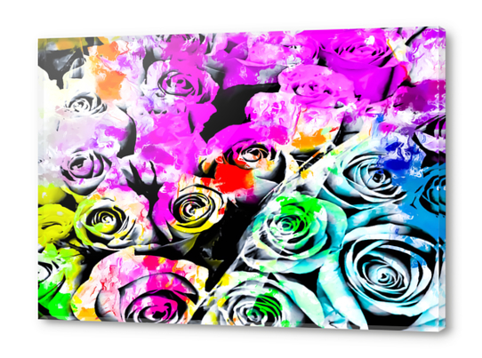 rose texture abstract  with colorful painting abstract background in pink blue green red yellow Acrylic prints by Timmy333