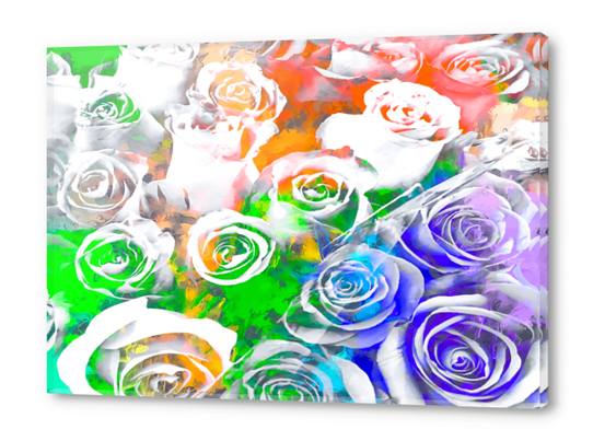 rose texture pattern abstract with splash painting in blue green orange Acrylic prints by Timmy333