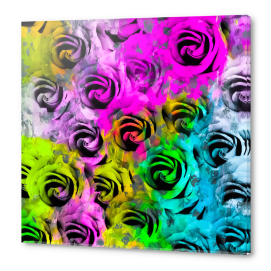 rose texture abstract  with colorful painting abstract background in pink blue yellow green Acrylic prints by Timmy333