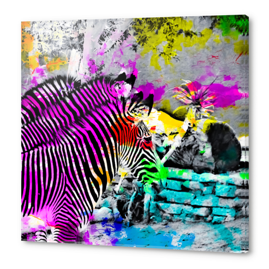 colorful zebra with painting texture abstract in pink yellow blue green Acrylic prints by Timmy333