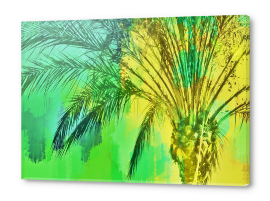 isolate palm tree with painting abstract background in green yellow Acrylic prints by Timmy333