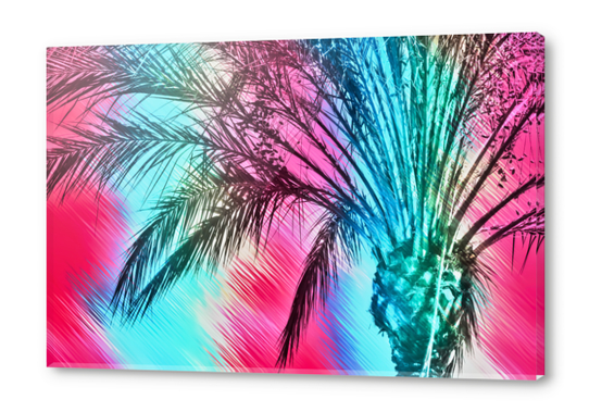 isolate palm tree with painting abstract background in pink and blue Acrylic prints by Timmy333