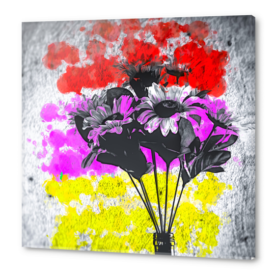 flower with colorful painting abstract background in red pink yellow Acrylic prints by Timmy333