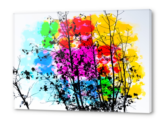 tree branch with splash painting texture abstract background in pink blue red yellow green Acrylic prints by Timmy333