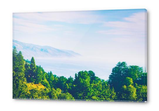 Beautiful ocean view with forest front view at Big Sur, California, USA Acrylic prints by Timmy333