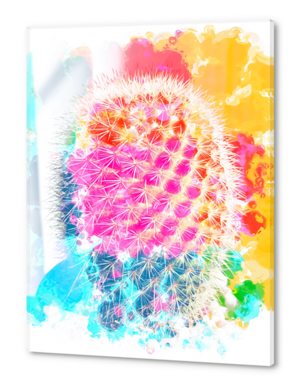 closeup cactus with colorful painting abstract in pink orange blue Acrylic prints by Timmy333