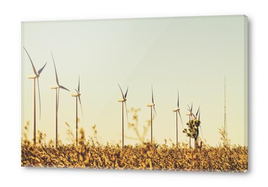 wind turbine in the middle of the desert Acrylic prints by Timmy333