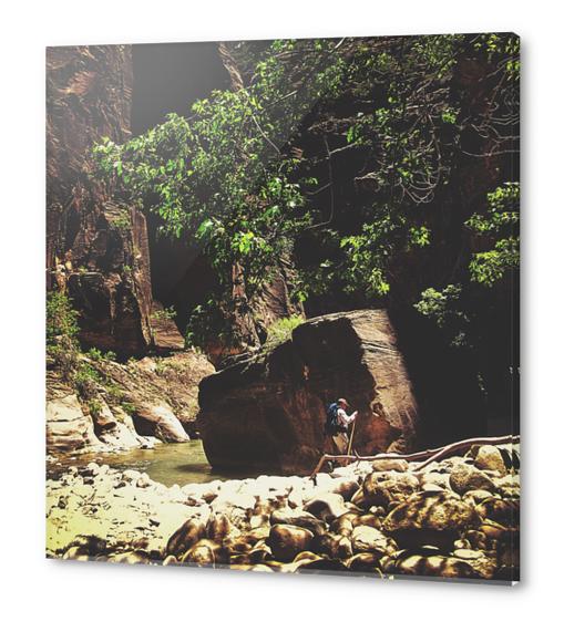 Hiking in the forest at Zion national park, USA Acrylic prints by Timmy333