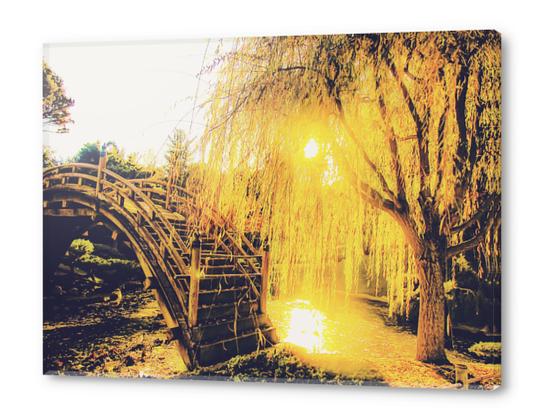 summer light in the garden with tree and wooden bridge Acrylic prints by Timmy333